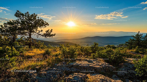 Golden Sunrise Over Mountain Landscape with Pine Trees