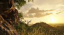 Golden Sunset Over Rocky Landscape in Wilderness