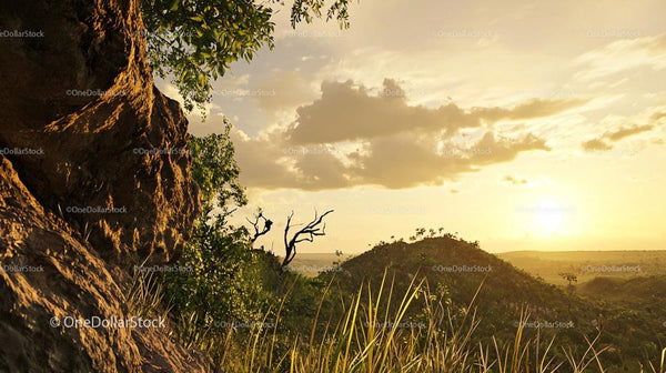 Golden Sunset Over Rocky Landscape in Wilderness
