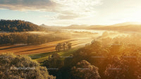 Golden Sunset Over Serene Countryside Landscape