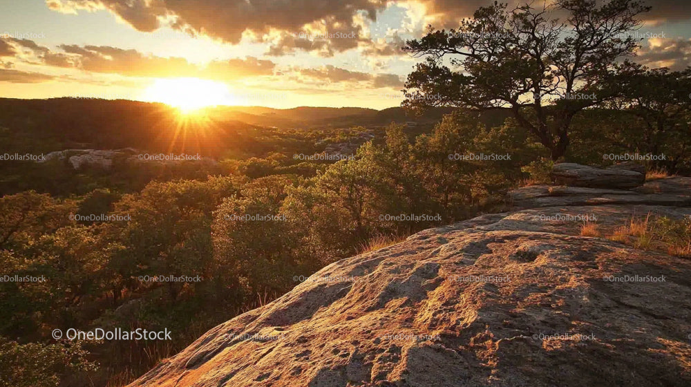 Golden Hour at Rocky Landscape with Trees