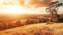 Dramatic Sunset Over Rolling Hills with Solitary Tree