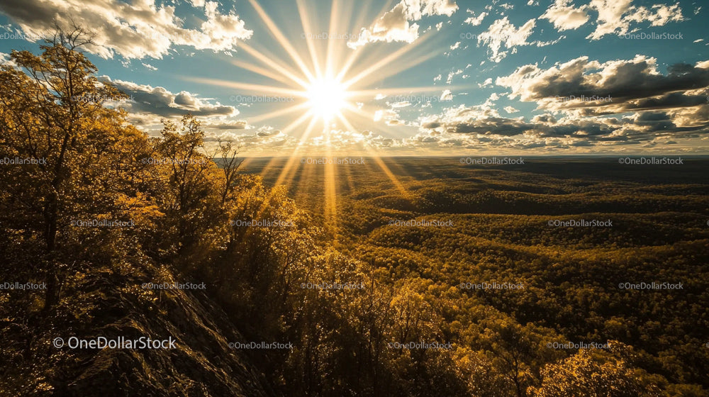 Golden Sunset Over Autumn Forest with Dramatic Sky