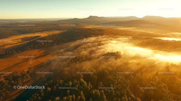 Misty Forest and Mountains at Sunrise with Golden Light