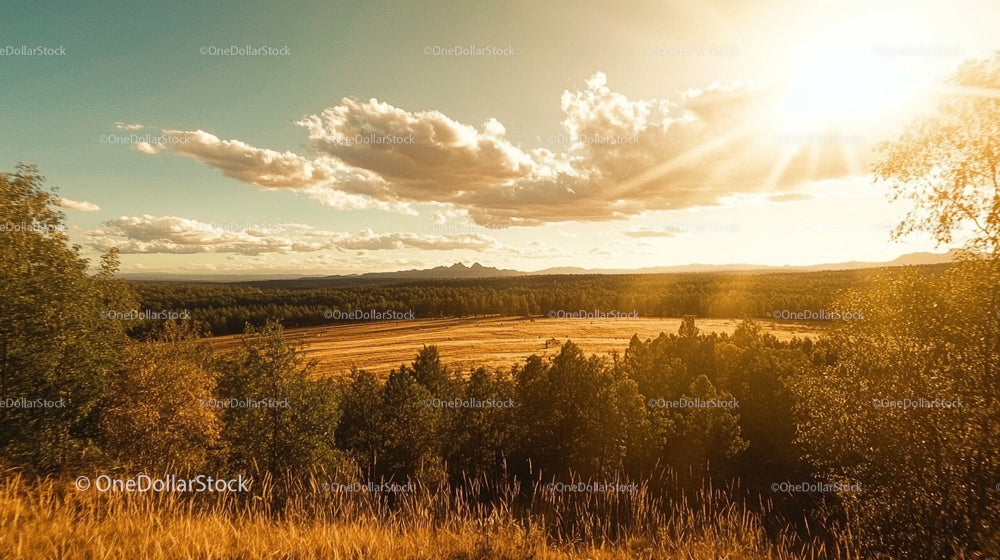Golden Hour Mountains and Field with Dramatic Sky