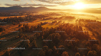 Misty Sunrise Over Forest and Fields in Golden Light