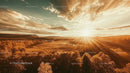 Majestic Sunset Over Lush Green Forest and Open Fields