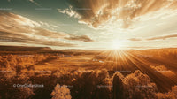 Majestic Sunset Over Lush Green Forest and Open Fields