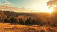 Breathtaking Sunset Over Serene Countryside Landscape