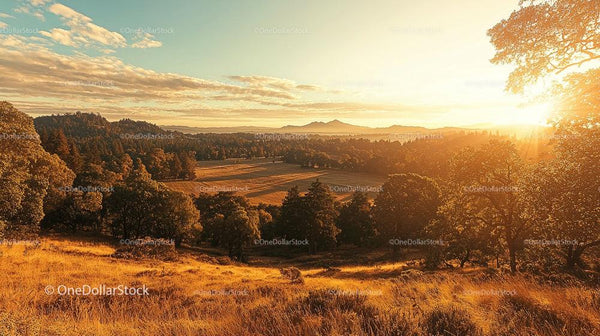 Breathtaking Sunset Over Serene Countryside Landscape