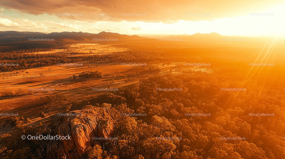 Golden Sunset Over Tranquil Forest Landscape