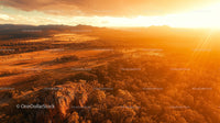 Golden Sunset Over Tranquil Forest Landscape