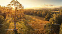 Golden Hour Over a Serene Countryside Landscape