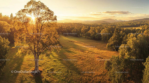 Golden Hour Over a Serene Countryside Landscape