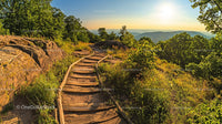 Sunlit Mountain Trail with Majestic Forest View