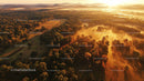 Aerial View of Forested Landscape at Golden Sunrise