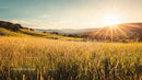 Golden Sunset Over Serene Countryside Landscape