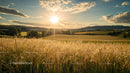 Sunset Over Golden Wheat Fields in Rural Countryside