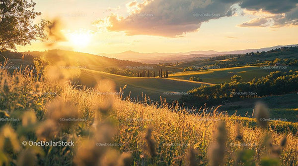 Golden Sunset Over Lush Tuscany Countryside