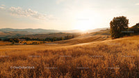 Golden Sunset Over Rolling Countryside Fields