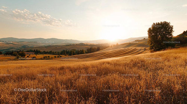 Golden Sunset Over Rolling Countryside Fields