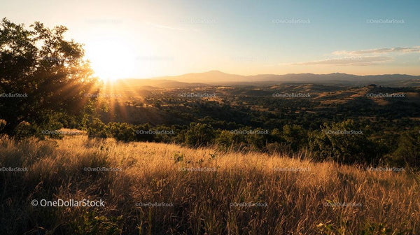 Golden Sunset Over Rolling Hills and Serene Countryside