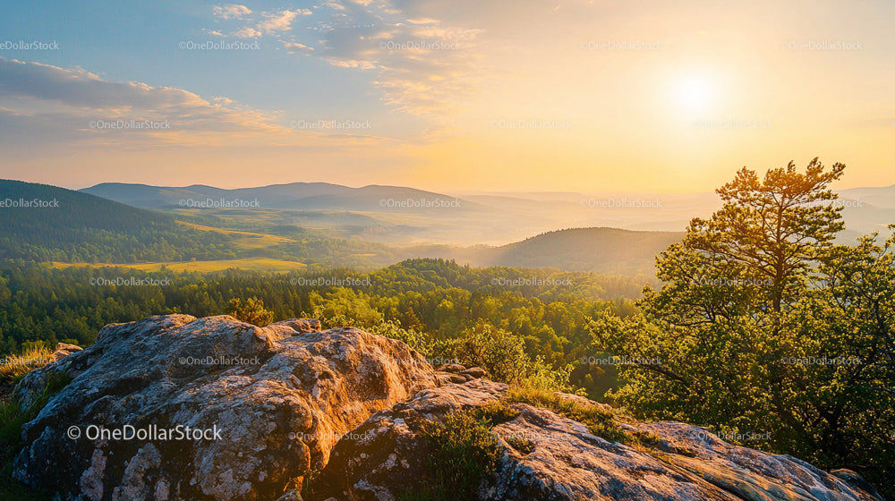 Scenic Sunset Over Rocky Mountain Landscape with Pine Trees