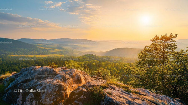 Scenic Sunset Over Rocky Mountain Landscape with Pine Trees
