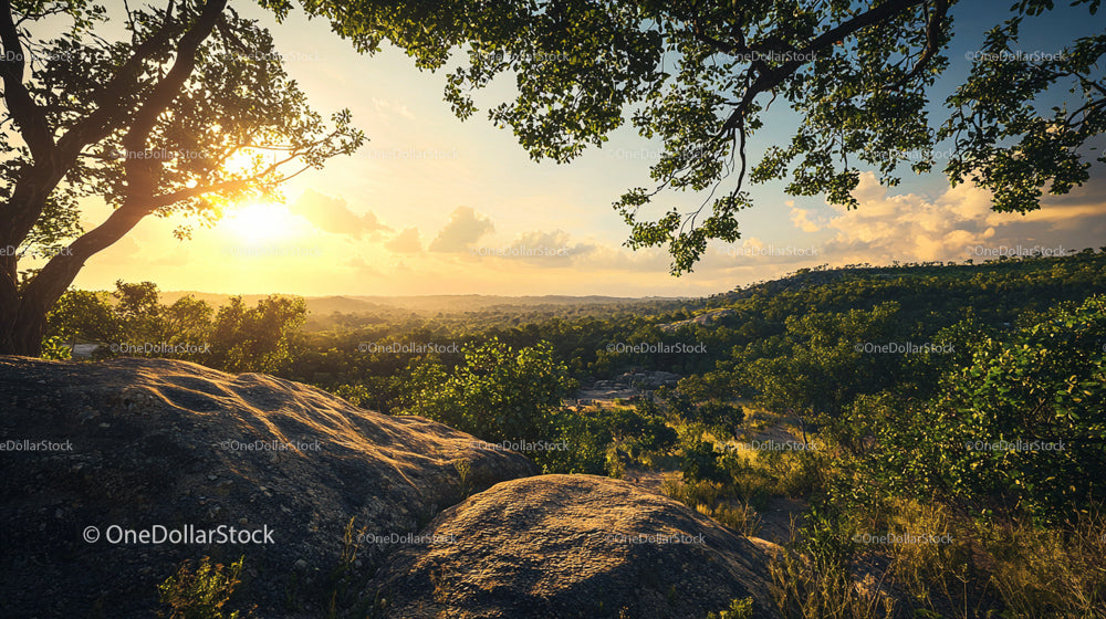 Scenic View of a Tranquil Sunset Over a Lush Countryside