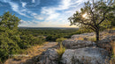 Scenic Sunset Over Rocky Landscape with Lone Tree
