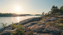 Rocky Shoreline with Pine Trees at Sunset