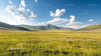 Wide Open Grassy Plains Under Blue Sky and White Clouds