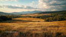 Golden Meadow with Rolling Hills at Sunset