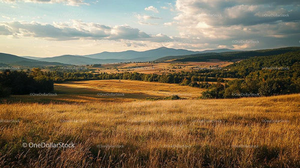 Golden Meadow with Rolling Hills at Sunset