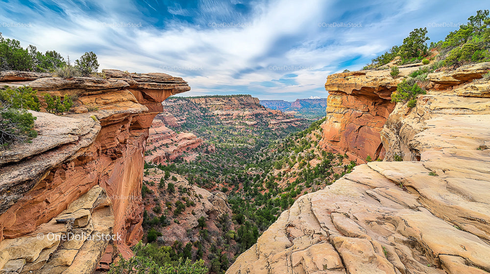 Majestic Red Rock Canyon with Expansive Desert Vista
