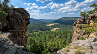 Breathtaking Mountain View with Lush Green Forest and Sky
