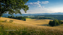 Golden Fields and Rolling Hills Under a Clear Blue Sky