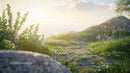 Tranquil Spring Meadow with Blooming Wildflowers