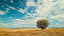 Lone Tree in Golden Field Under Expansive Blue Sky