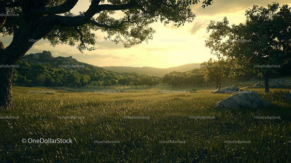 Serene Sunset Over Verdant Meadow and Rolling Hills