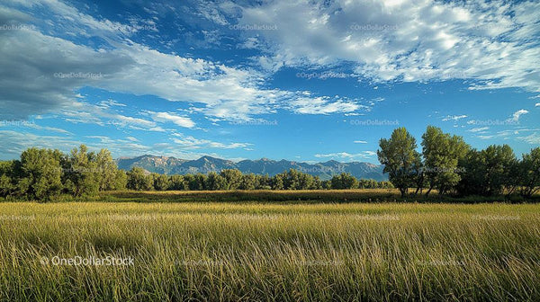 Mountainous Horizon with Green Meadow and Blue Skies