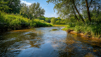 Tranquil River Flowing Through Lush Green Landscape