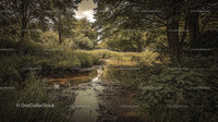Tranquil River Flowing Through Lush Greenery