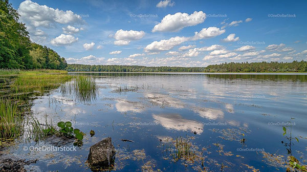 Serene Lake Landscape with Lush Greenery and Blue Skies