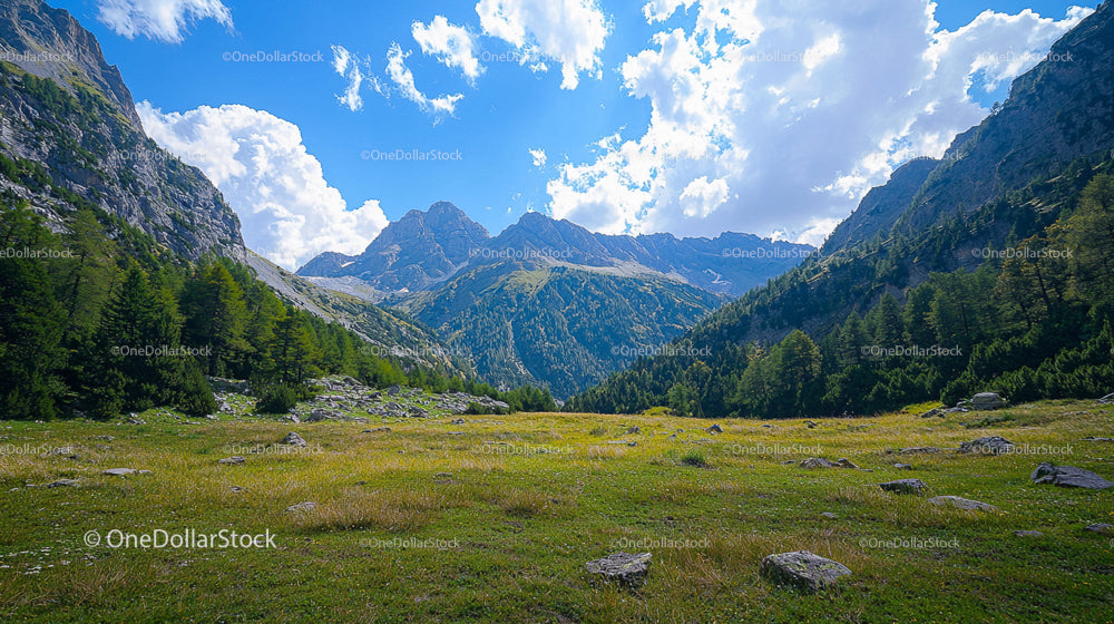 Spokojna alpejska łąka z majestatycznym górskim tłem