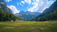 Serene Alpine Meadow with Majestic Mountain Backdrop