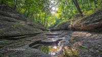 Sunlit Forest Canyon with Shimmering Water Reflections