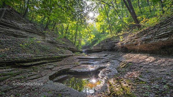 Sunlit Forest Canyon with Shimmering Water Reflections