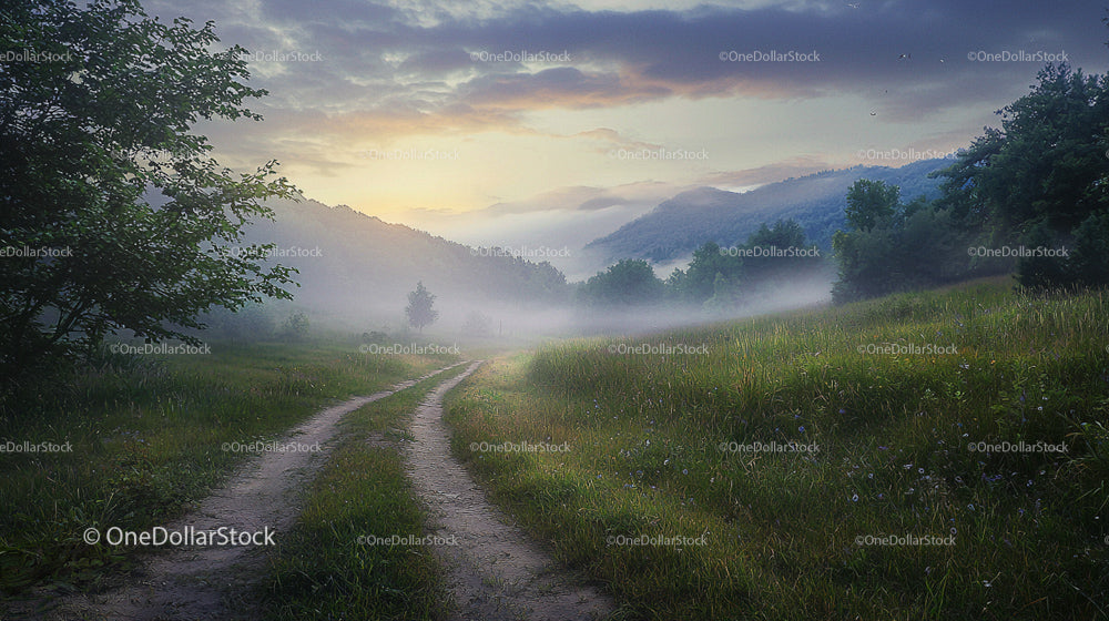 Misty Morning Pathway Through Tranquil Green Valley
