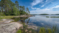 Tranquil Lake with Pine Trees and Rocky Shoreline